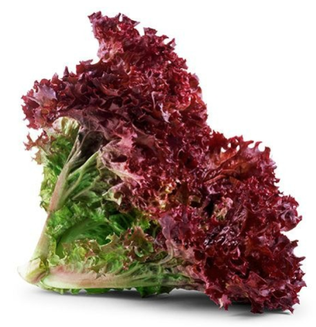 Салат червоний свіжий листковий, другого товарного сорту, ДСТУ 8107, 1 кг